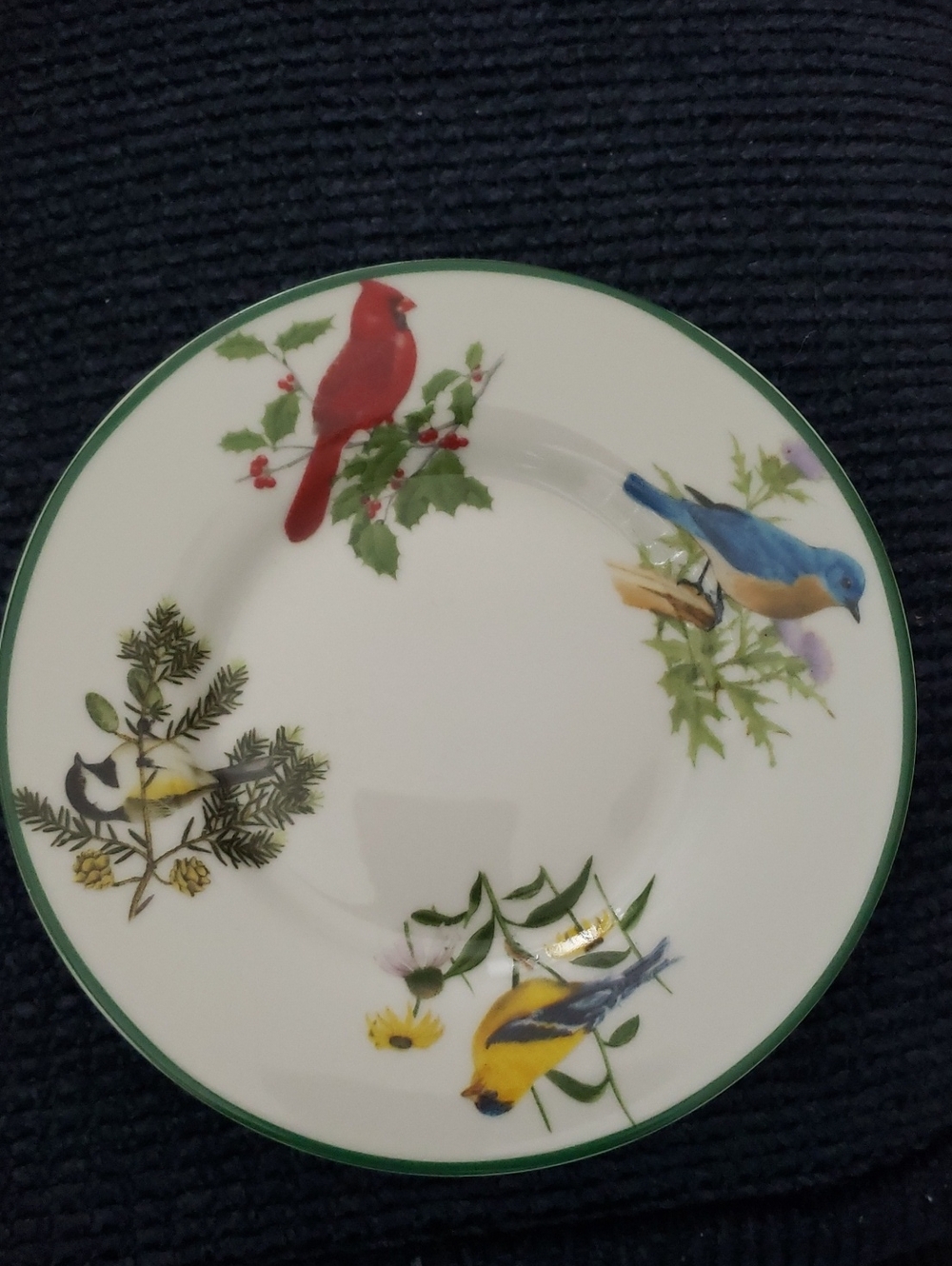 National Wildlife Federation Decorative Bird Motif Porcelain Plate - Multicolor